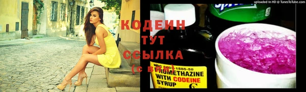стаф Инта