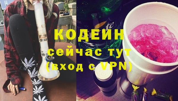 хмурый Богородск