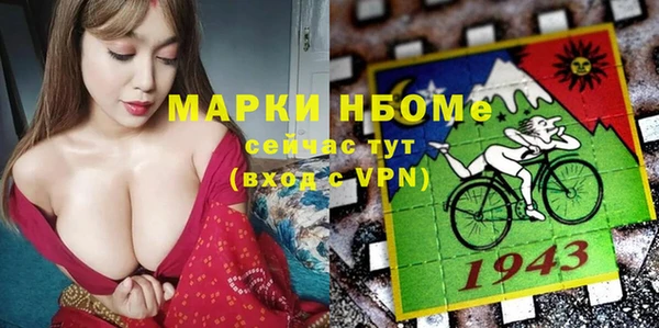 хмурый Богородск