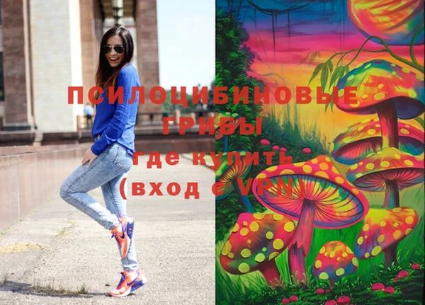 хмурый Богородск