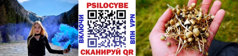 что такое   мега как зайти  Галлюциногенные грибы GOLDEN TEACHER  Будённовск 