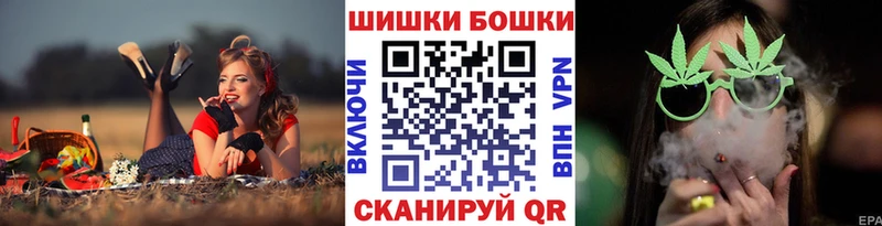купить наркоту  Будённовск  Бошки марихуана план 